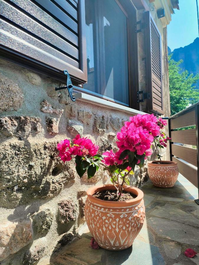 The Stone House Villa Kalambáka Kültér fotó